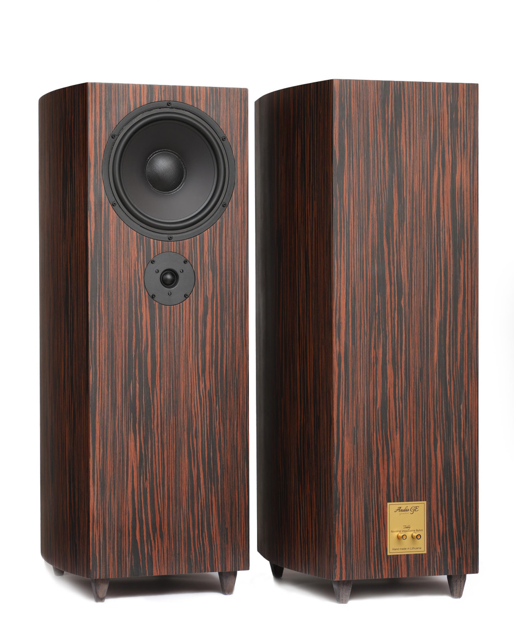  AudioGe Teddy Classic  