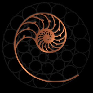 Cardas Audio