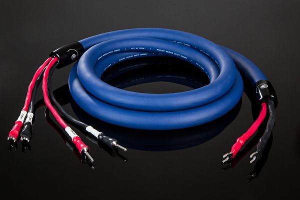 Cardas Audio Clear Beyond Speaker